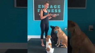 'Pawrent Vs Pup Fitness Challenge