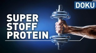 'Superstoff Protein – macht Eiweiß schlank und fit? | alles wissen | doku'