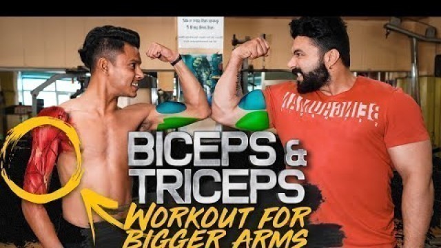 'Biceps & Triceps Workout for Bigger Arms | कैसे बनाएं बायसेप्स एंड ट्राइसेप्स'