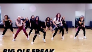 'Big Ole Freak by Megan Thee Stallion | Dance Fitness | Hip Hop | Zumba'