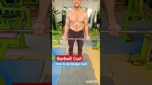 'How to perform barbell curl | Barbell Biceps curl'