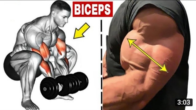 '4 BASIC MASS BUILDING EXERCISES FOR BIGGER BICEPS | MHR FITNESS'