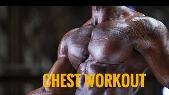 'Complete Chest Workout (Best Workout For Beginners) |100 Days Fitness Challenge | #rishavroc'