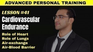 'Cardiovascular Endurance || Fitness Endurance'