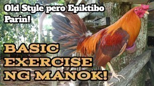 'Basic Exercise Ng Manok!'