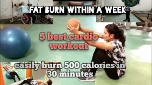 'Lnipe Fitness freak girl || best cardio workout burn 500 calories || fast fat burning workout in gym'