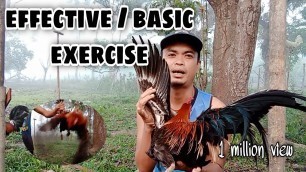 'EFFECTIVE | BASIC EXERCISE NG ALAGANG MANOK | PALAWAN'