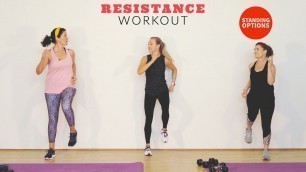 'Low impact resistance workout - standing options'