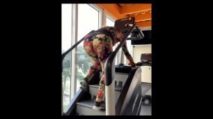 'Aditi Mystry Hot Indian Fitness Model Workout At Gym'