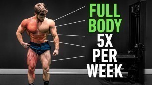 'Full Body 5x Per Week: Why High Frequency Training Is So Effective'