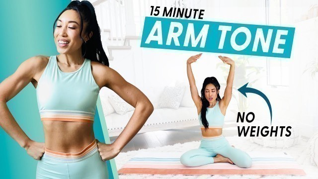'15 Minute Arm Burnout (weightless upper body workout)'