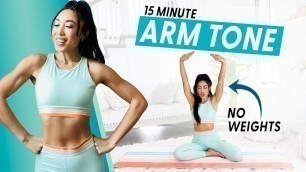 '15 Minute Arm Burnout (weightless upper body workout)'