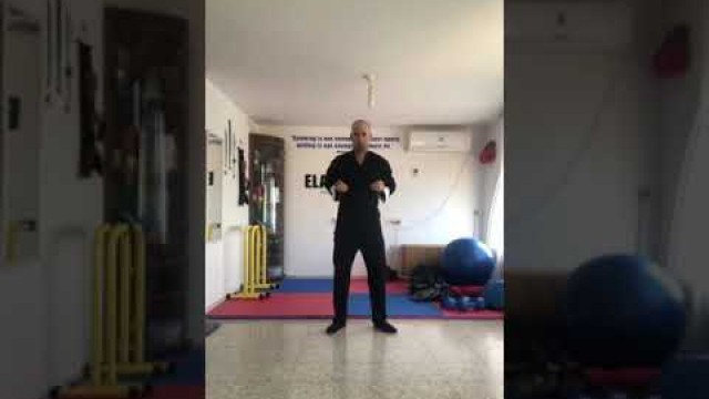 'Wing Chun - Chum kiu form - Elad David | אלעד דוד - ווינג צ׳ון'