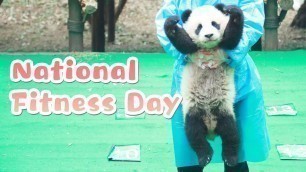'Work Out With Pandas On National Fitness Day Of China | iPanda'