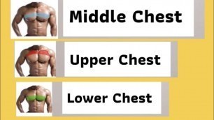 'Chest Workout | Push Up'