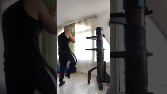 'Wing chun dummy combination 9 - Elad David | אלעד דוד - ווינג צ׳ון'