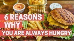 '6 reasons Why You are Always Hungry.'