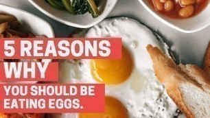 '5 Reasons why You Should Be Eating Eggs'
