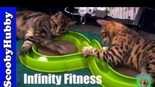 'Infinity Fitness -- Cat Clips #104'