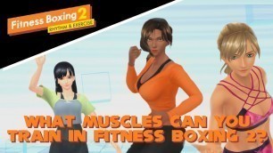 'The Main Muscles You Can Train In Fitness Boxing 2: Rhythm & Exercise for Nintendo Switch!'