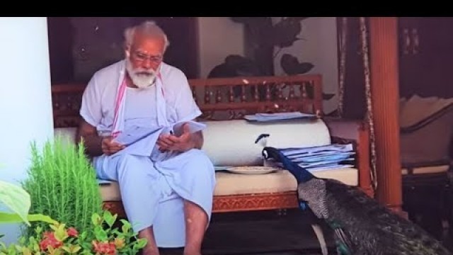 'ನವಿಲುಗಳಿಗೆ ಕಾಳು ಹಾಕಿದ ಮೋದಿ..! : PM Narendra Modi feeds peacocks home exercise video goes viral'