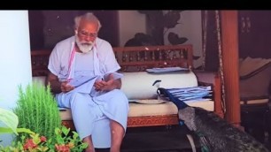 'ನವಿಲುಗಳಿಗೆ ಕಾಳು ಹಾಕಿದ ಮೋದಿ..! : PM Narendra Modi feeds peacocks home exercise video goes viral'