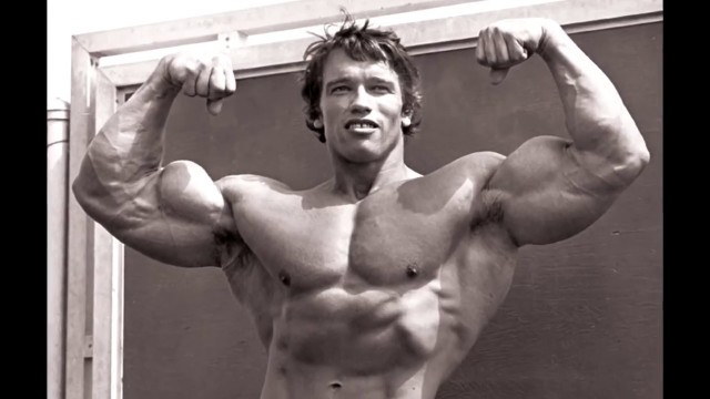 'Fitness Arnold schwarzenegger Full Body Komple Antreman Programı'