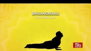 'PM Modi shares animated video of Bhujangasana, promotes yoga'