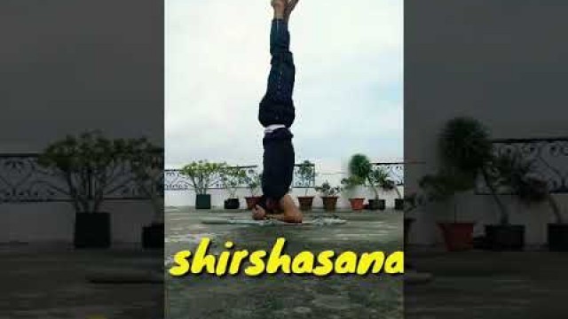 'Shirshasana||शीर्षासन ||Headstand|| sumit pal fitness||yoga #shorts'