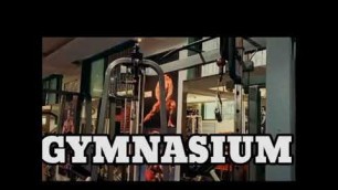 'Gym workout Gym life Gym Motivation Aarey Gymnasium and fitness center gym workout fitness