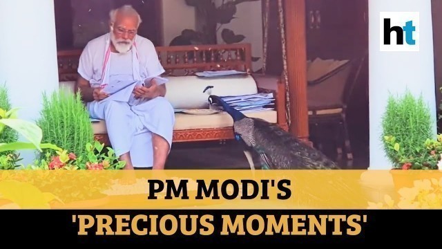 'Watch: PM Modi feeds peacocks, shares poem on India\'s national bird'