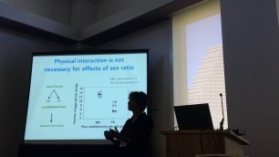 'Agashe:Food over sex: Resource competition underlies fitness effects of group sex ratio'