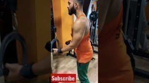 'Arms ex-02 #shorts #workout #trend #t #for #motivation #fitness #youtube #short #ytshorts #ffviral'