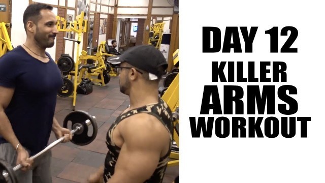 'Day12- killer arms work out'