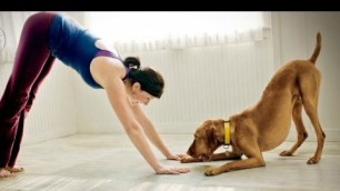 'Funny Cats And Dogs Helping Their Owners Exercise [BEST OF]'