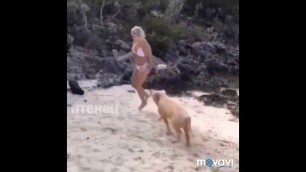 'Huge pig bit girl for ass  Fitness model Michelle Levin was  attacked From a very annoying pig'