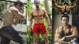 'Tiger Shroff Student Of The Year 2 Workout Videos'