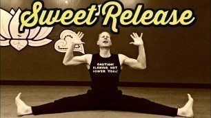 'SWEET RELEASE Straddle DEEP Stretch Routine - Sean Vigue Fitness'