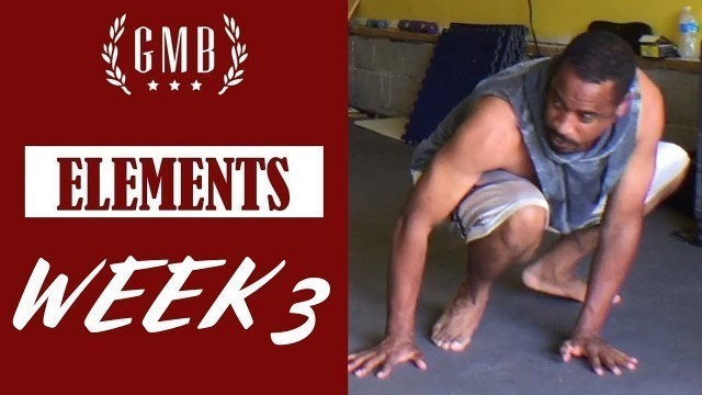 'GMB Elements Review Week 3'