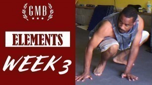 'GMB Elements Review Week 3'