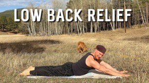 'Quick Lower Back Pain Relief | Beginner Yoga Stretch Workout | Sean Vigue Fitness'