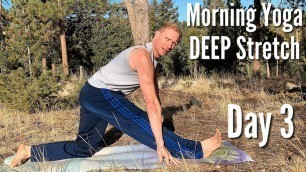 'Day 3 - Deep Yoga Stretch | 7 Days of Morning Yoga | Sean Vigue Fitness'