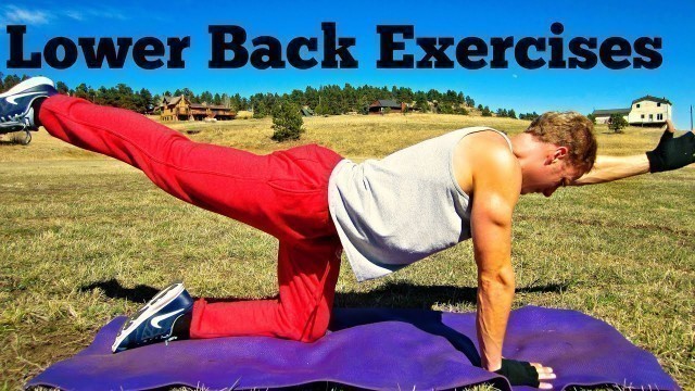 '5 Beginner Lower Back Exercises | Yoga for Low Back Pain Relief | Sean Vigue Fitness'