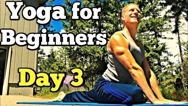 'Day 3 - Full Body Yoga (7 Day Beginner Yoga Challenge) Sean Vigue Fitness'