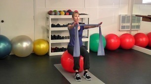 'Stability Ball: Resistance Band Exercises'