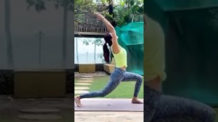 'Shilpa Shetty yoga video youtube short / tiktok video #shilpashetty #videokiduniya'
