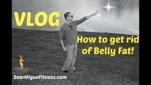 'How to Get Rid of Belly Fat (VLOG)  Sean Vigue Fitness'