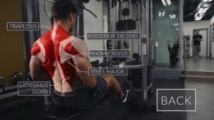 'Exercise Anatomy: Back Workout  | Pietro Boselli'