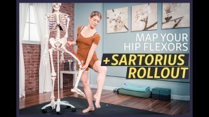 'Understand Your Hip Flexors and Massage Your Sartorius'