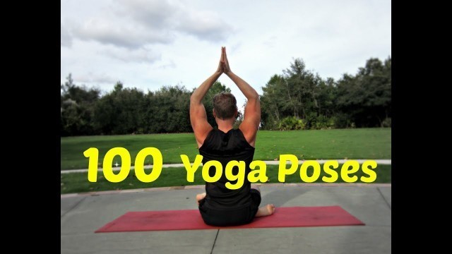 'Best 100 Yoga Poses | Sean Vigue Fitness'